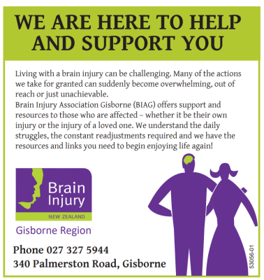 Logo for Gisborne Brain Injury