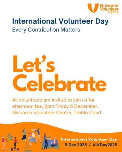 International Volunteer Day Celebration